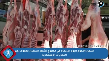 أسعار اللحوم اليوم الأربعاء في مطروح تشهد استقرار ملحوظ رغم التحديات الاقتصادية